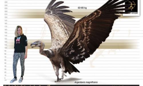 脸上长满 怎么回事怎么办啊网 - 网站提供脸上长斑怎么回事如何淡斑小常识、脸上长了很多小疙瘩是怎么回事